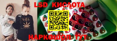 трава Сланцы