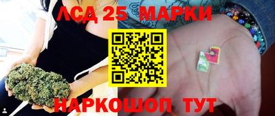 трава Сланцы