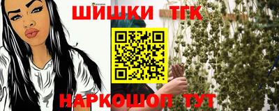 трава Сланцы