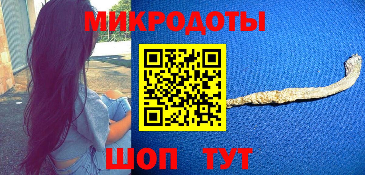 Галлюциногенные грибы Psilocybine cubensis  Вход с VPN  Серов  Галлюциногенные грибы прущие грибы 