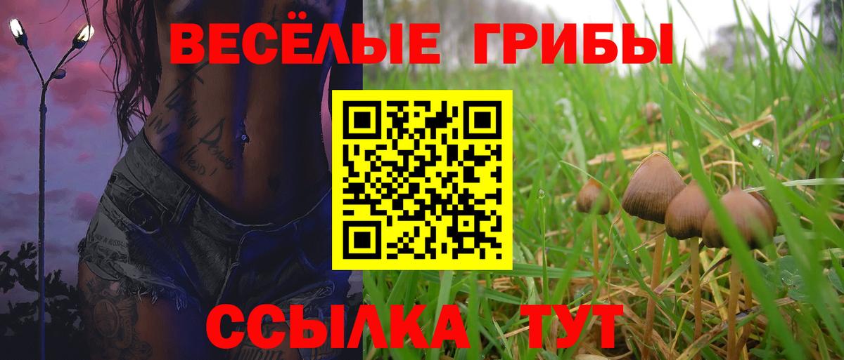Псилоцибиновые грибы Psilocybine cubensis Серов